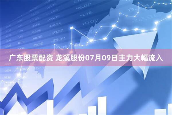 广东股票配资 龙溪股份07月09日主力大幅流入